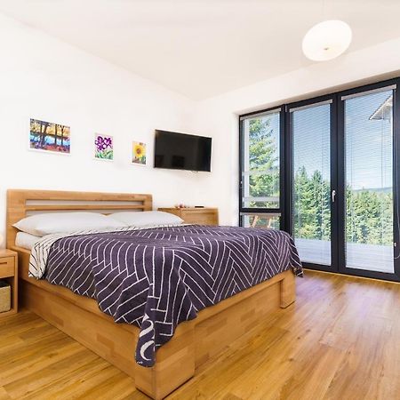Horsky Apartman Temari 6 Klinovec Loučná pod Klínovcem Kültér fotó